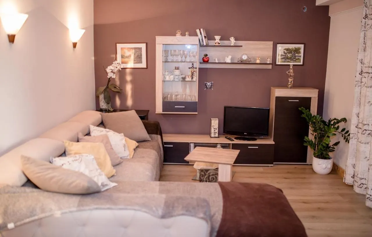 Apartments Vladimir 2836 Palit